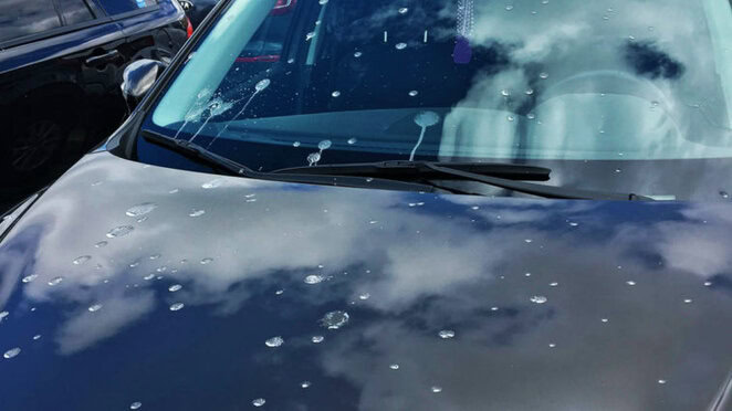 Как и чем отмыть птичий помет с машины — CARHack.ru