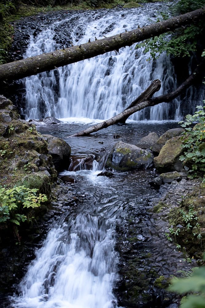 Dutchman Falls, one of the many waterfalls in Oregon you will see on Larch Mountain Trail