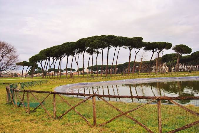 Villa Guglielmi: concerto gratuito nella pineta di Fiumicino
