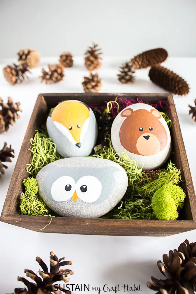 cute painting ideas on rocks-animal faces in a wooden crate