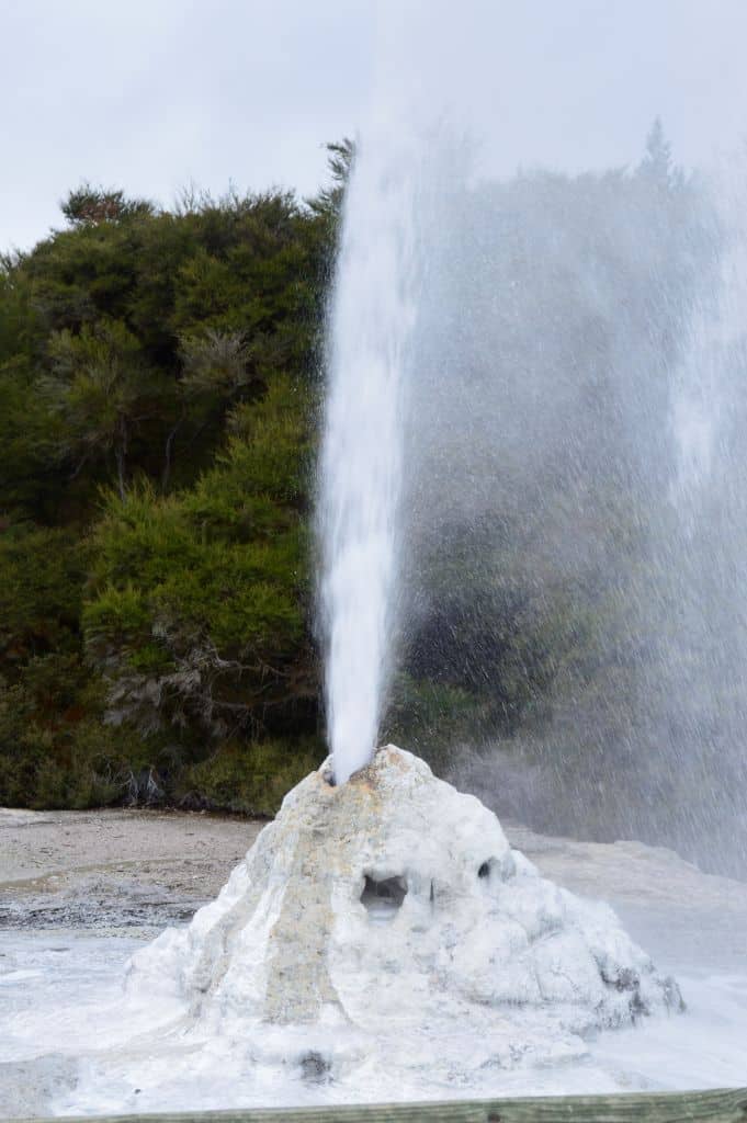 Lady Knox Geyser