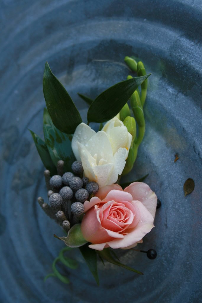 white freesia, coral spray rose, and silver brunia Groom Boutonniere