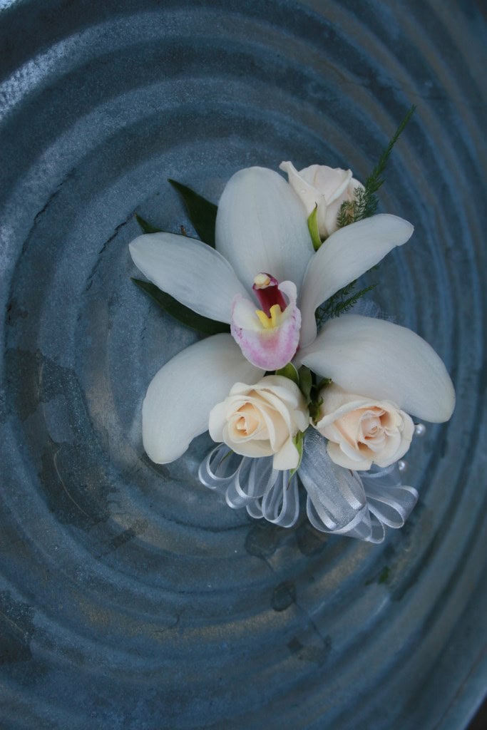 white Cymbidium and rose Mother's Corsage