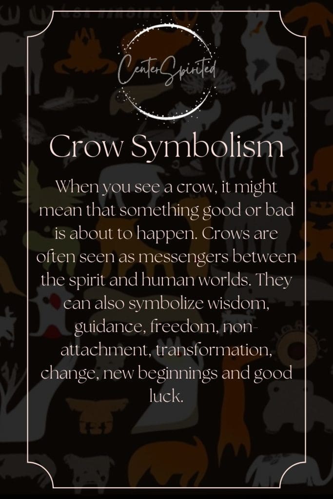 what does it mean when you see a crow