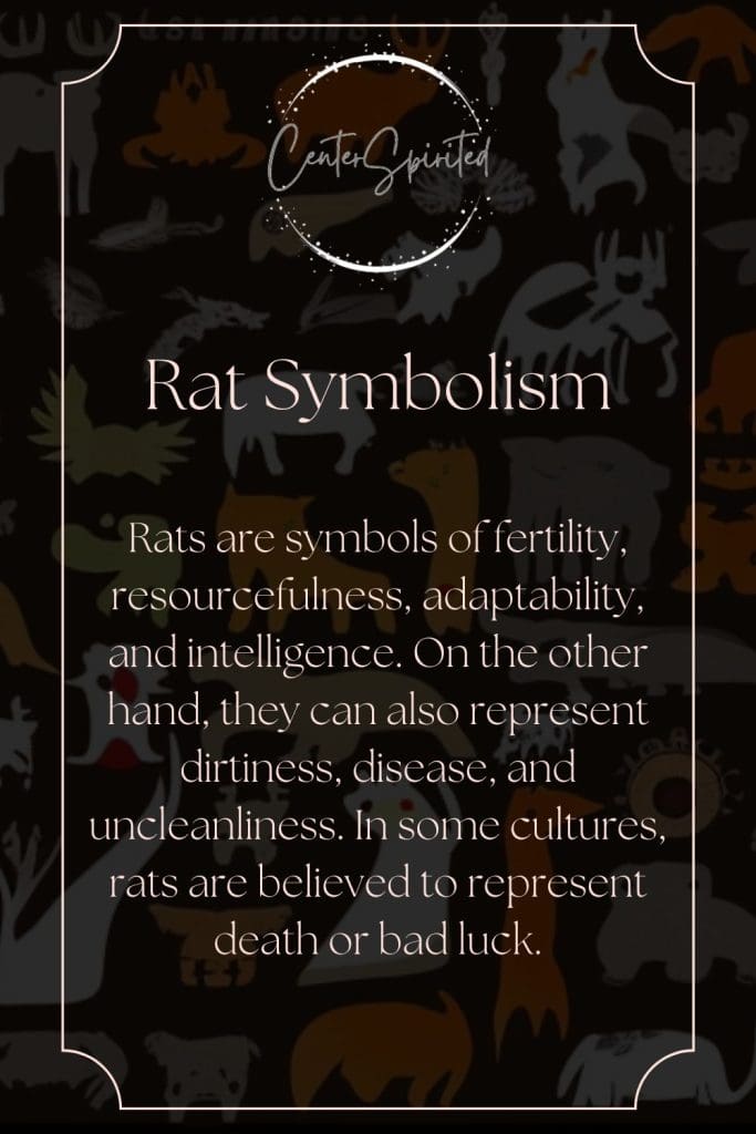 what does it mean when you see a rat