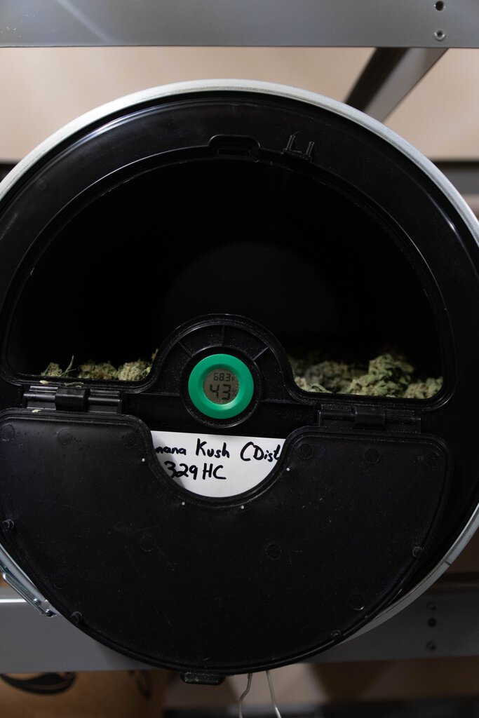 The Story of Our Flower - FARMACEUTICALRX™