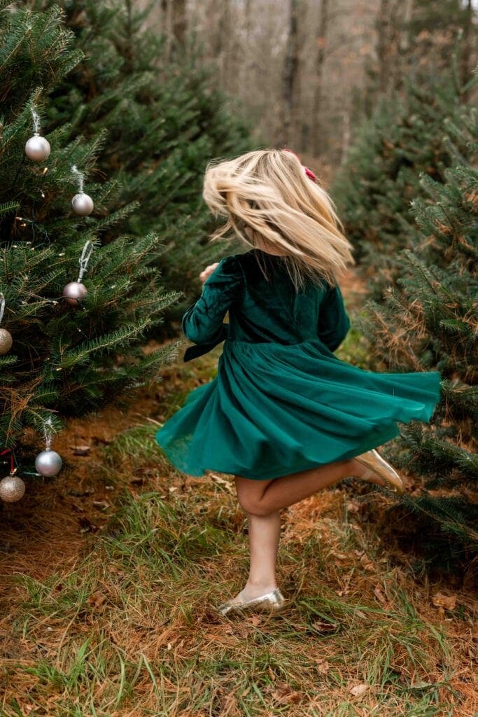 holiday farm Christmas mini sessions Connecticut