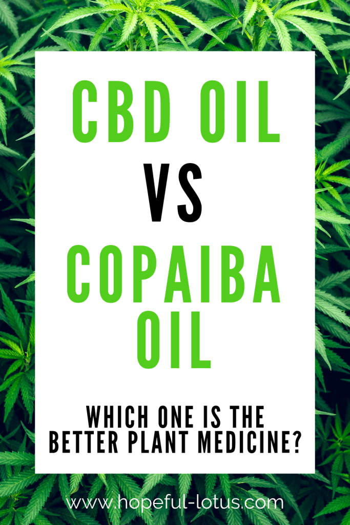 Advocates for Copaiba oil often refer to it as the up and coming CBD oil. But do the two really compare? This ultimate copaiba vs CBD oil comparison goes in depth into the facts about each oil including the benefits, side effects, costs, how to use and the best products!
