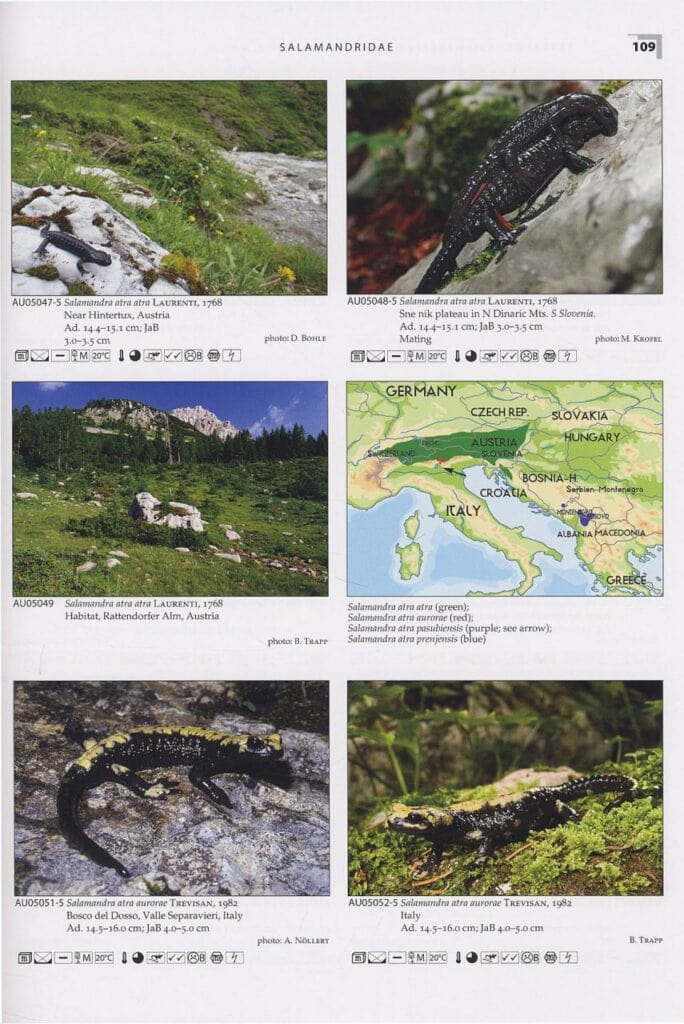 salamanders and newts of europe north africa and western asia page