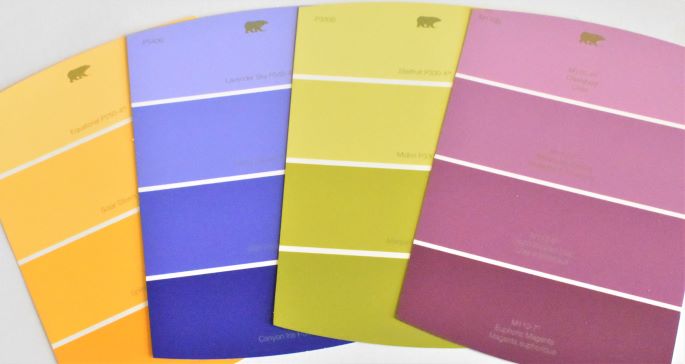 double complimentary scheme paint chips