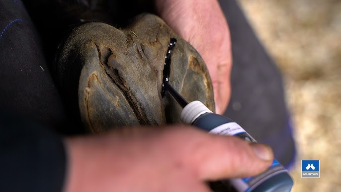 Higijenska tečnost za kopita - Слика 2