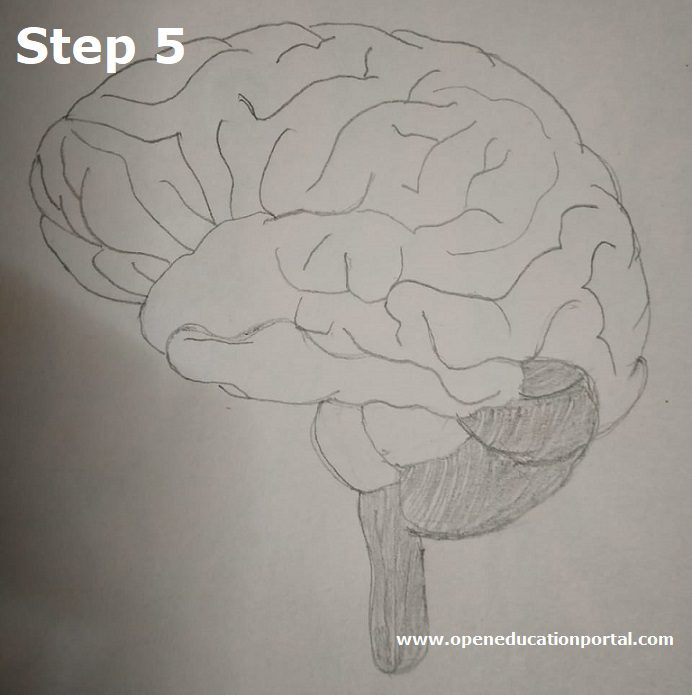 My Image 18