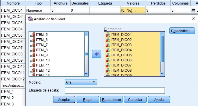 Fiabilidad items dicotómicos