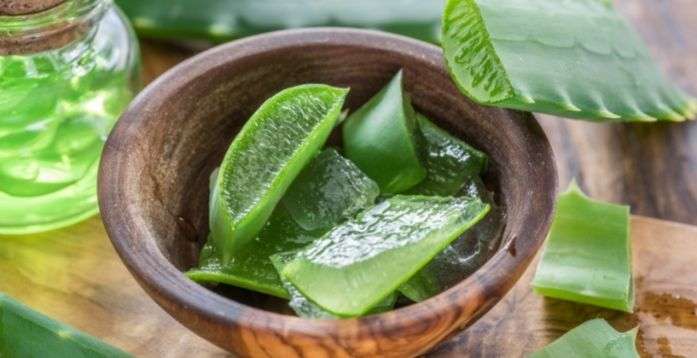 Aloe Vera