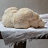 Closeup shot of Lion's mane mushrooms on a white cloth placed on a wooden table