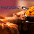 Revolutionize Your Health with Superior Turmeric Absorption and Award-Winning HydroCurc®