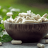 Elevate Cognitive Performance and Mental Clarity with BacoMind®