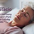 Melostacio™_ Natural Pistachio Extract to Sync Your Circadian Rhythm