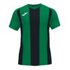 Koszulka Joma Pisa II zielono czarna 102243.451