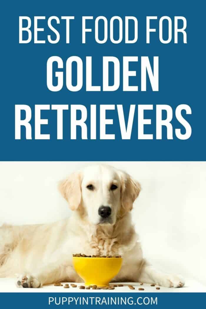 Hoe u het beste hondenvoer voor uw golden retriever kiest