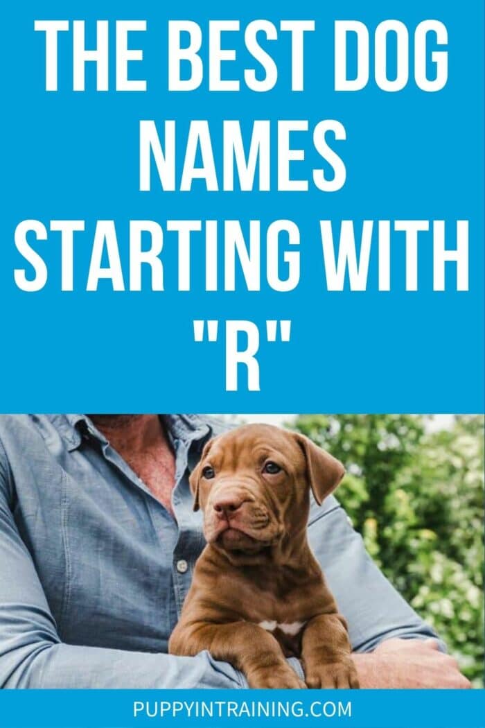 The Best Dog Names Starting With "R" - brown puppy held in man's arms.