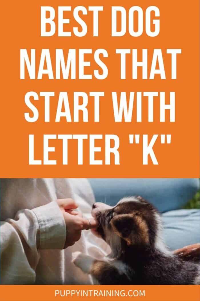 Best Dog Names That Start With Letter "K" - puppy chewing on finger