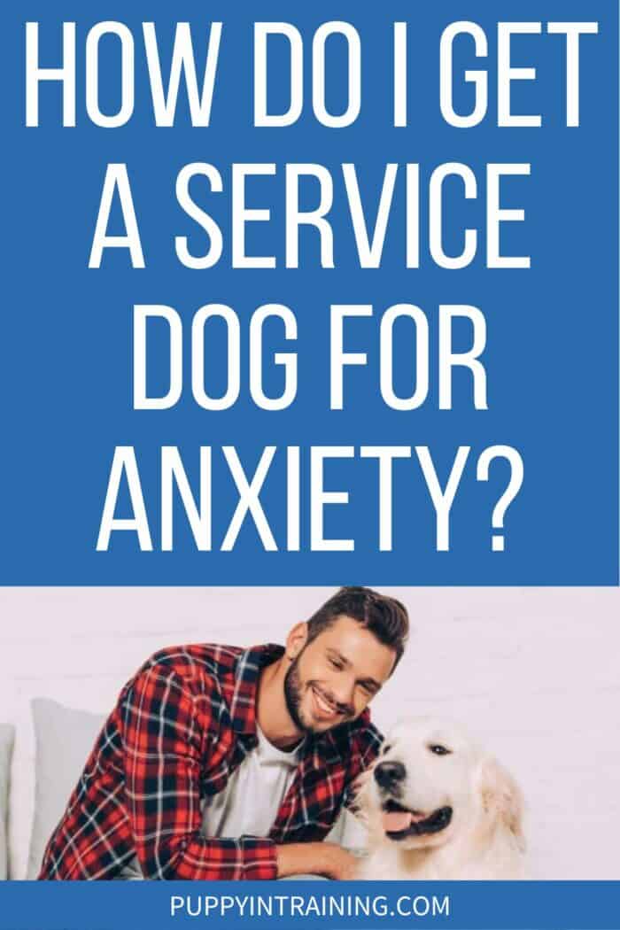 How Do I Get A Service Dog For Anxiety? - man with golden retriever service dog