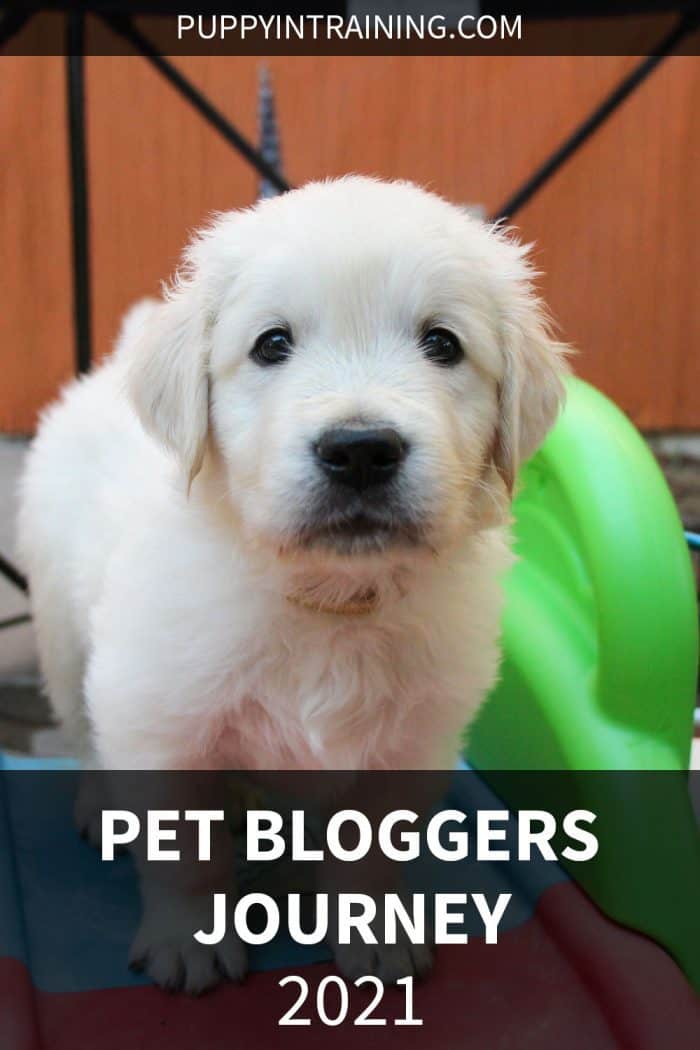 Pet Bloggers Journey 2021