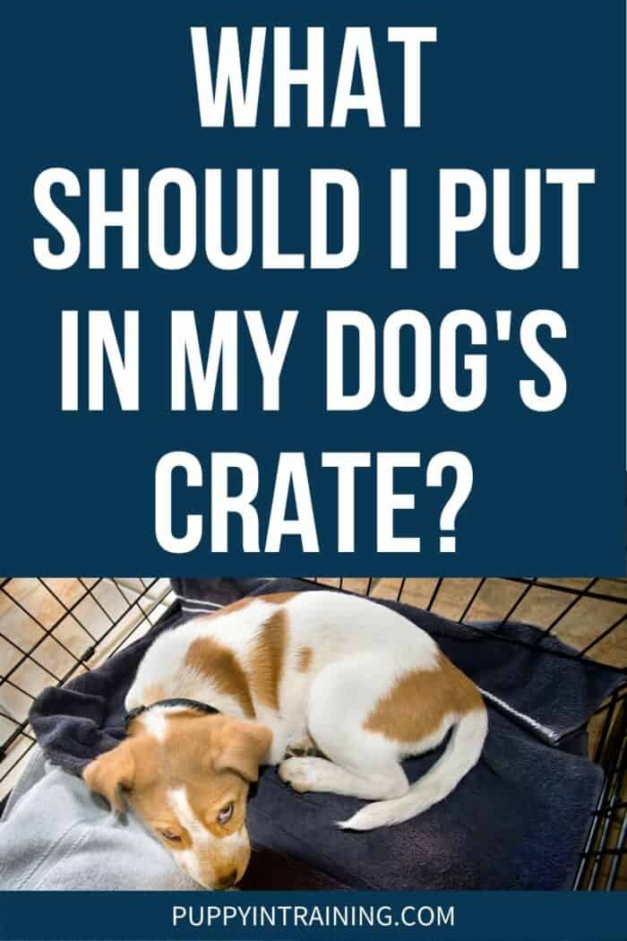 What Toys Can I Leave In My Puppy's Crate? - The Savvy Sitter