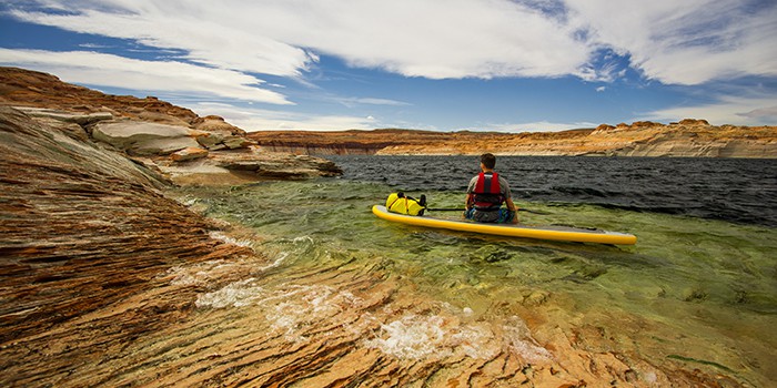 Life jackets and paddles are two essential tools for paddle boarding.