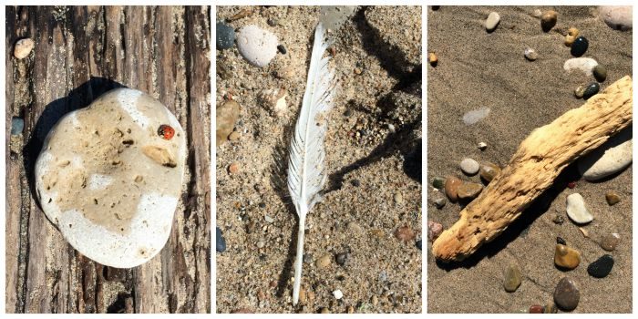 Found-Objects-on-the-Rock-Beach