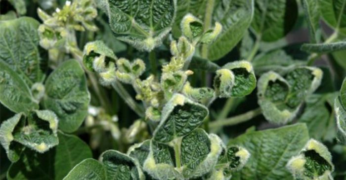 Source: Prairie Farmer Natural Society