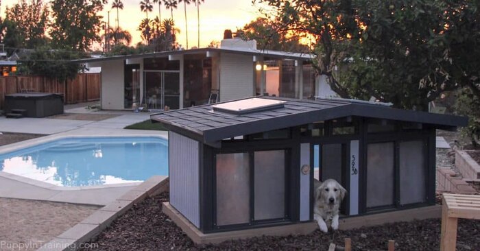 Raven's custom dog house get the sunset over the human's Eichler home.