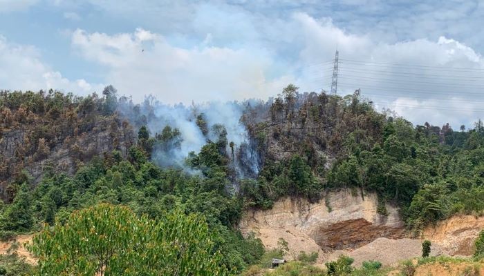 Salah Satu Titik Api di Hutan Lindung