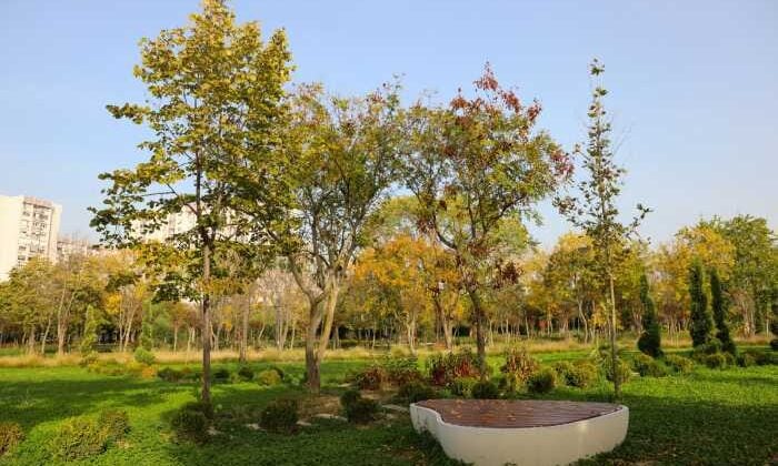 Ayamama Yaşam Vadisi, Avrupa’nın en iyileri arasında