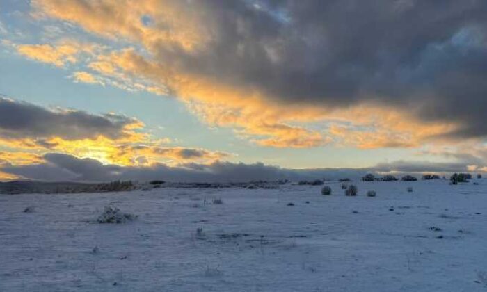 Türkiye önceliğimiz, şehitlerimiz kırmızı çizgimiz!