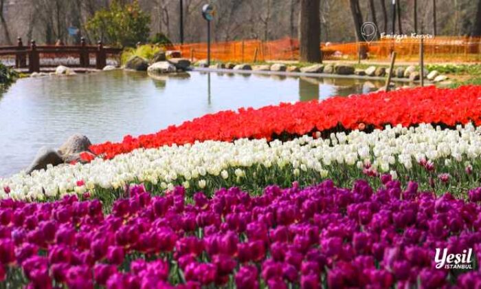 İstanbul’da renk cümbüşü Lale Bayramı 11-12 Nisan’da kutlanacak