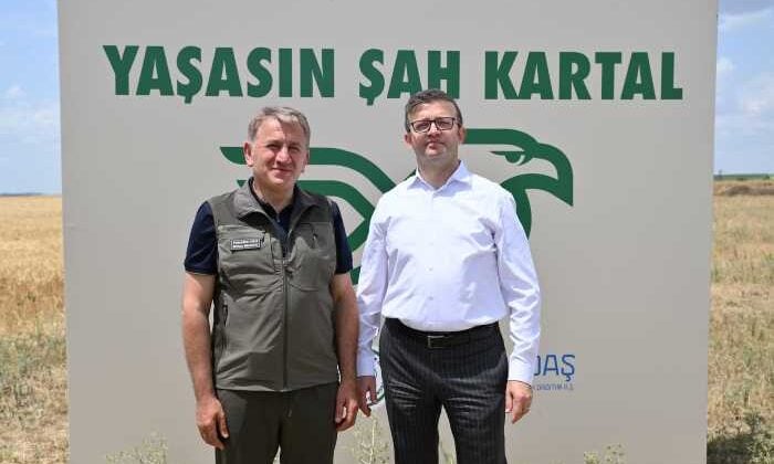 Trakya’da, leylekler ve Şah Kartal için koruma seferberliği başladı