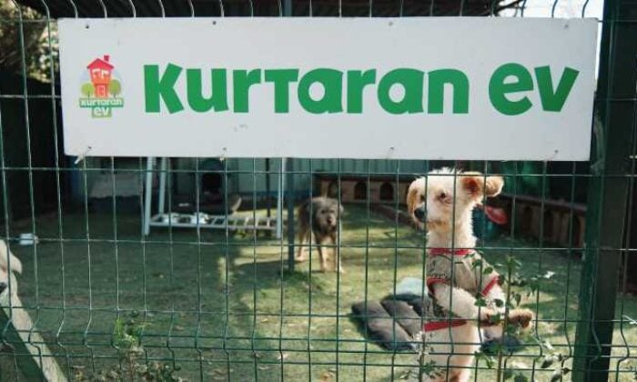 IC Altyapı Grubu’ndan  Kurtaran Ev Derneği’ne anlamlı destek