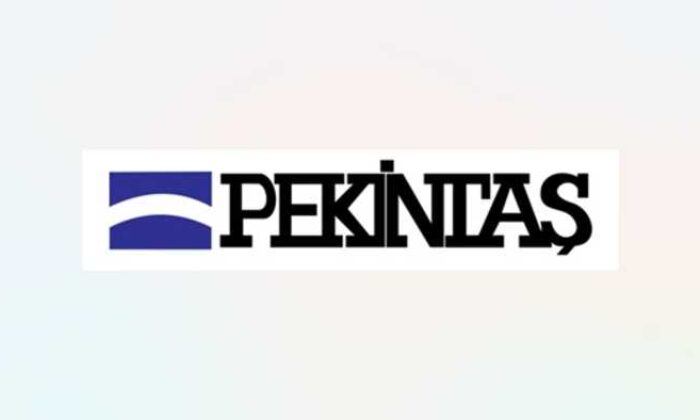 Pekintaş Holding’ten Manisa Seydiköy’de depolamalı GES yatırımı