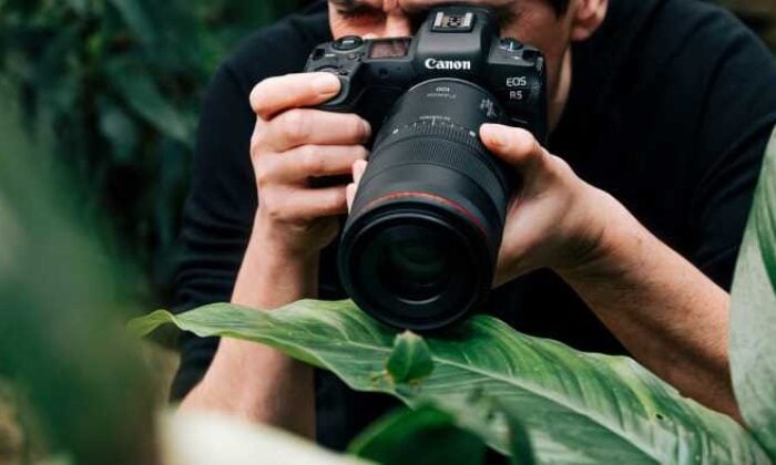 Küçük detaylardan büyük hikâyeler: Makro fotoğrafçılığın gücü