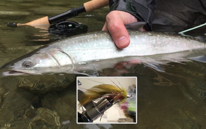 Bull Trout Fly Pattern