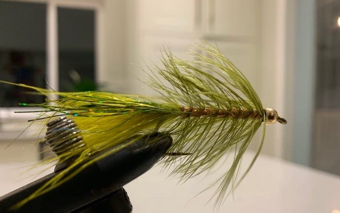 bull trout fly