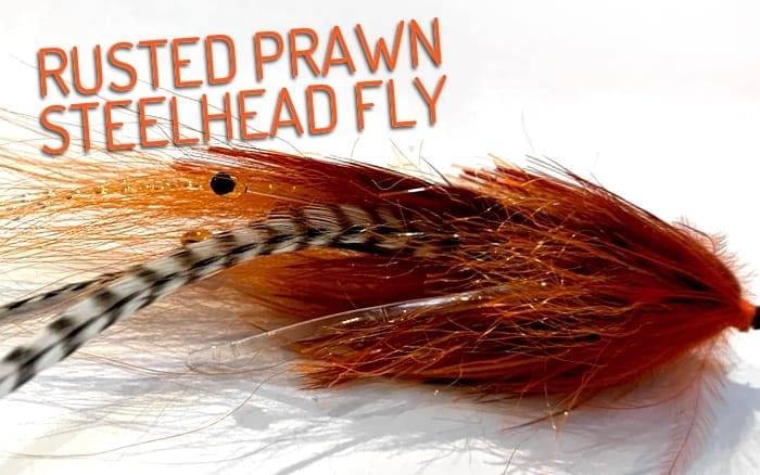 steelhead prawn fly