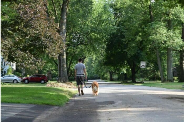 Demonstrating the Hands Free Dog Leash from MightyPaw. Perfect for active pet parents and avid runners!