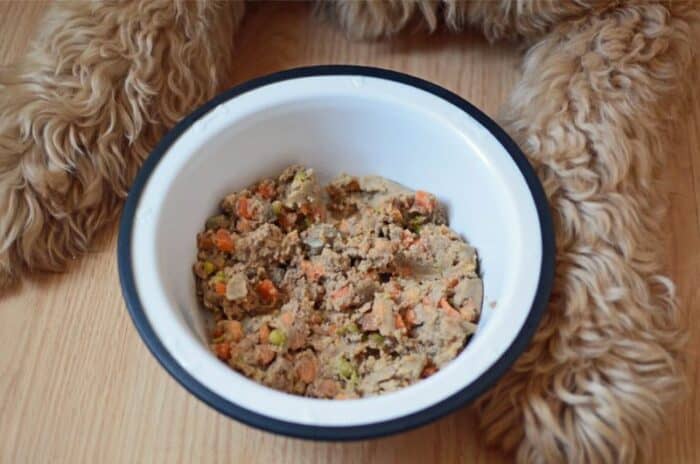 PetPlate Review - Paws around bowl of PetPlate food