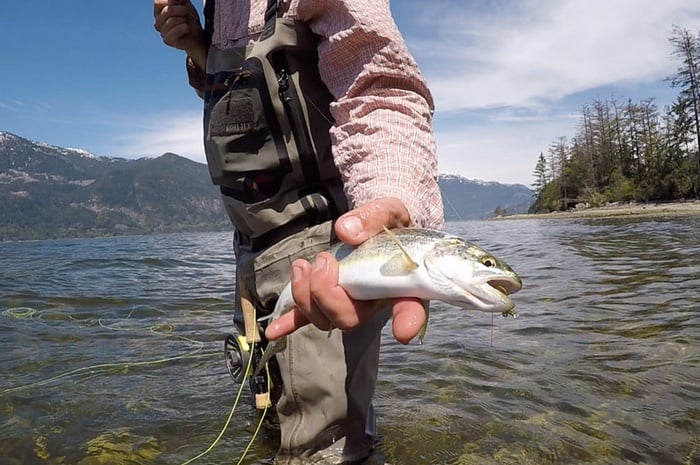 Beach Fishing Vancouver - Salmon & Trout Fishing on Vancouver Beaches