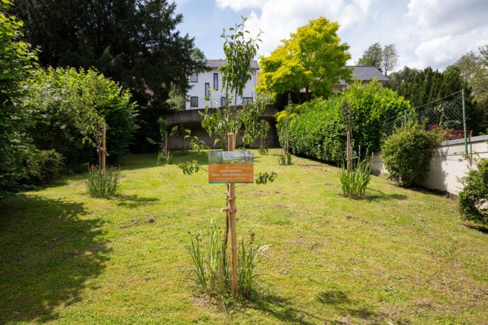 Zunftgemeinschaft Adenau 1 | Kreisverwaltung Ahrweiler