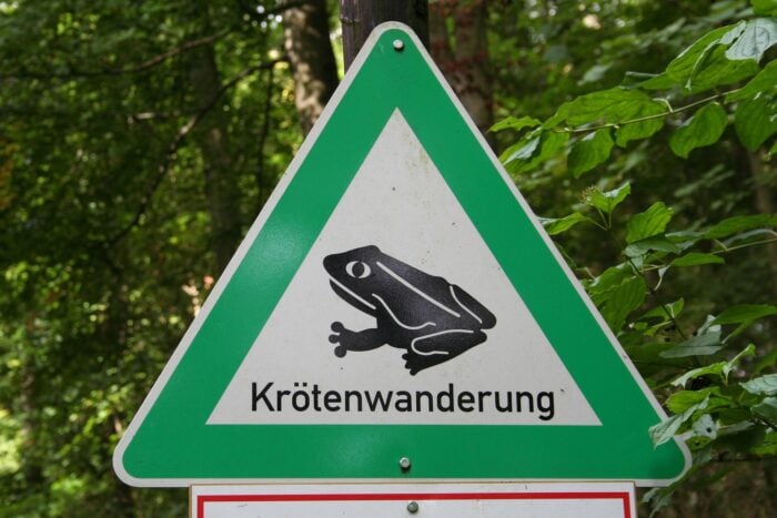 Krötenwanderung_Schild_Momo 2210_pixabay | Kreisverwaltung Ahrweiler Krötenwanderung
