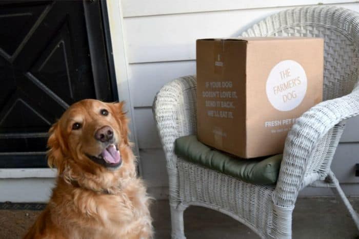 Never worry about running out of food with The Farmer's Dog subscription food service!